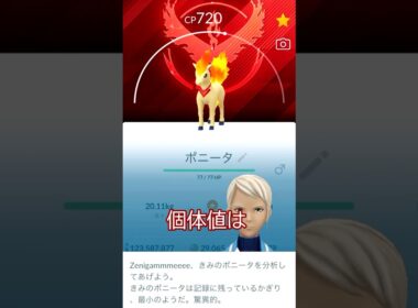 🔥背景キャンデラモチーフポニータ🐎個体値ガチャ🤔✨#ポケモンgo #pokemongo #pokemongoshorts