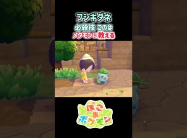 フシギダネってカエルなの？それとも花？「このは」を教えてもらったよ#ぽこあポケモン #フシギダネ