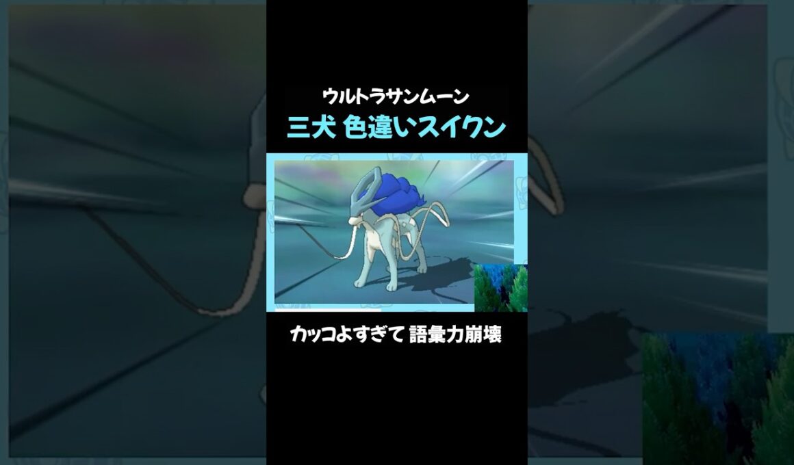 【ポケモンUSUM】ウルボで色違いスイクンをゲット！