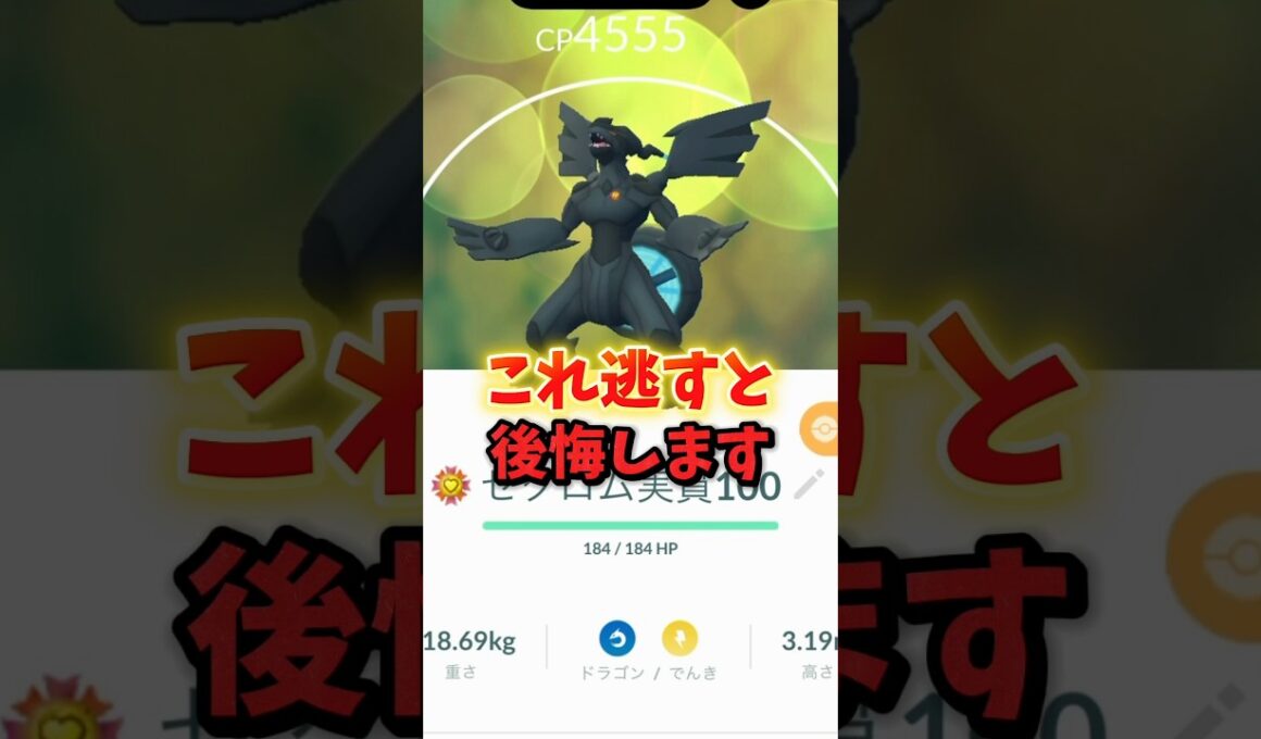 【注意】⚠️後悔確定⚠️仕様変更により強くなった！注目の再評価された伝説の復刻に注意。ゼクロム復刻レイドはかならずやらないと後悔します。【ポケモンGO】#ポケモンGO #島名なまし　#ゼクロムレイド