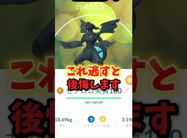 【注意】⚠️後悔確定⚠️仕様変更により強くなった！注目の再評価された伝説の復刻に注意。ゼクロム復刻レイドはかならずやらないと後悔します。【ポケモンGO】#ポケモンGO #島名なまし　#ゼクロムレイド