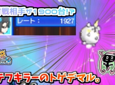 【ポケモンUSM】トゲデマルでカプ・テテフを倒せちゃいます。