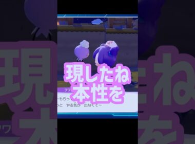 【ぽこポケ】言動が所々怪しいフワンテに話しかけてみた！　#ぽこあポケモン #ぽこポケ #ゲーム実況 #フワンテ