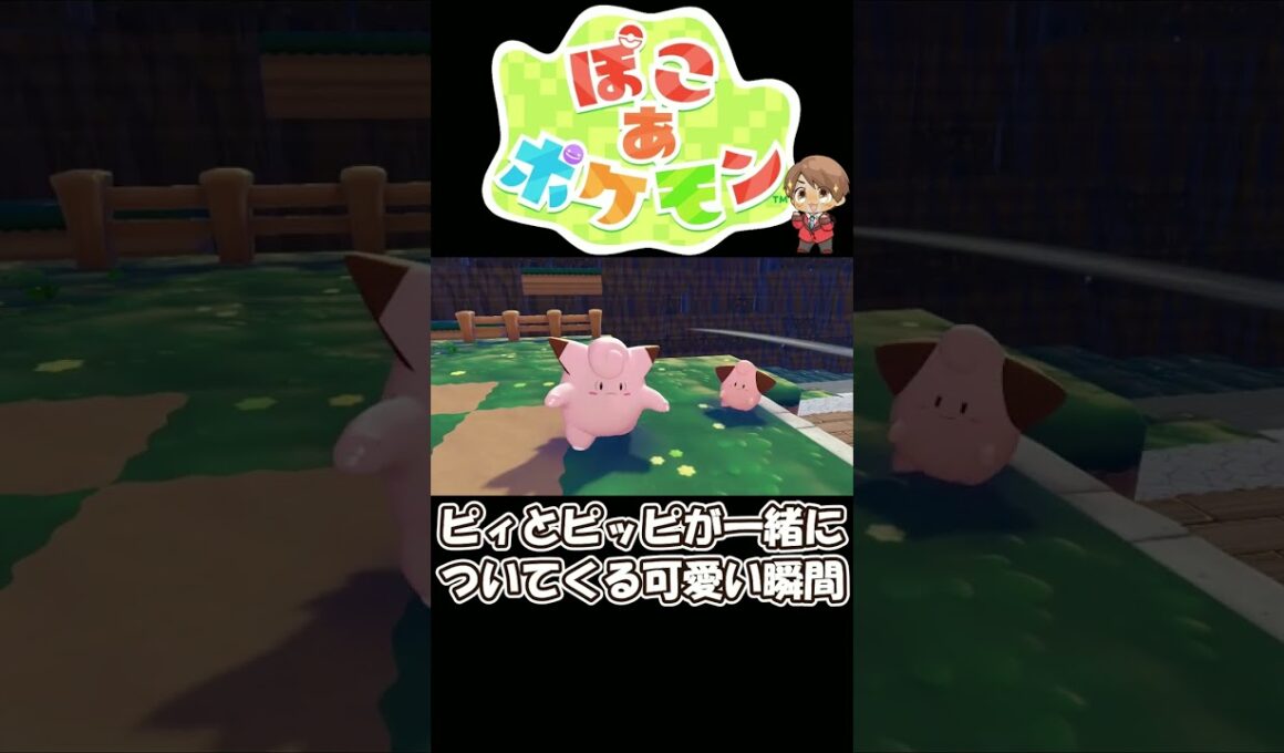 【ぽこポケ】ピィとピッピが一緒についてくる可愛い貴重な癒し映像がこちら【ぽこ あ ポケモン】