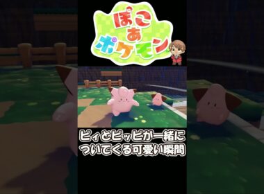 【ぽこポケ】ピィとピッピが一緒についてくる可愛い貴重な癒し映像がこちら【ぽこ あ ポケモン】