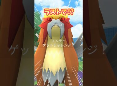 【ポケモンGO】シャドウエンテイ17戦やった結果！？#ポケモン #エンテイ #shorts