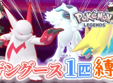 【ポケモンZA】ザングース1匹縛りでストーリークリアを目指す【ゆっくり実況】part2