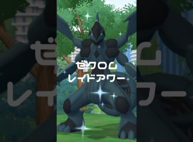 光れ！ゼクロムレイドアワー~復帰勢~ #shorts ポケモンgo #gameplay #ポケモン #pokemon