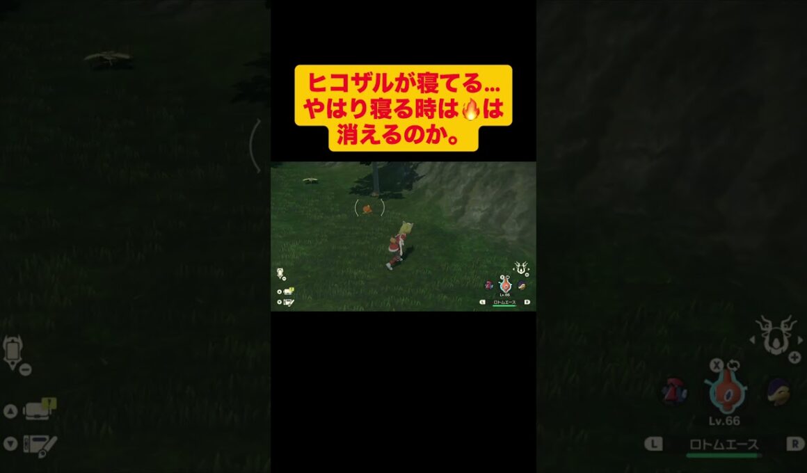 【レジェアル】野生のヒコザルの炎が消える時　#shorts