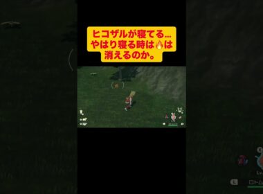【レジェアル】野生のヒコザルの炎が消える時　#shorts