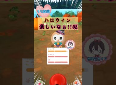 衣装モクロー１４連♪タスク開封!!【ポケモンGO】