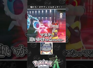 【ポケモンZA】ミルホッグに絶対の信頼を置くネコVtuber
