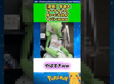 【速報】等身大サーナイトのぬいぐるみがヤバいwww  #ポケモン #反応集