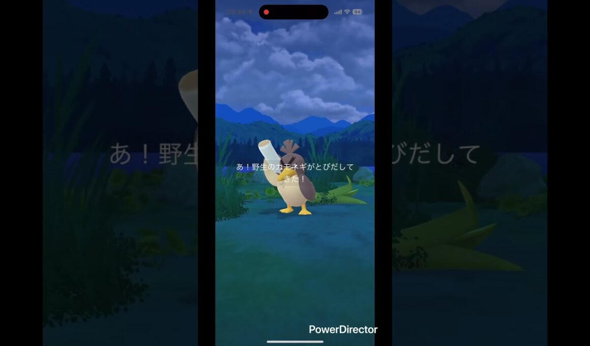 違いがわからん色違いカモネギ✨ #pokemongo #pokemon #ポケgo #ポケモン #shinypokemon #ポケモンgo #pokémon #shiny