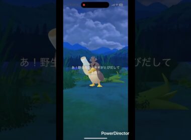 違いがわからん色違いカモネギ✨ #pokemongo #pokemon #ポケgo #ポケモン #shinypokemon #ポケモンgo #pokémon #shiny