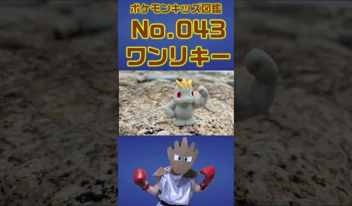 ポケモン実体図鑑No 043ワンリキー #ポケモンキッズ #ワンリキー