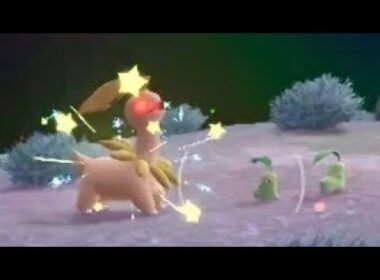 色違いオヤブンベイリーフ