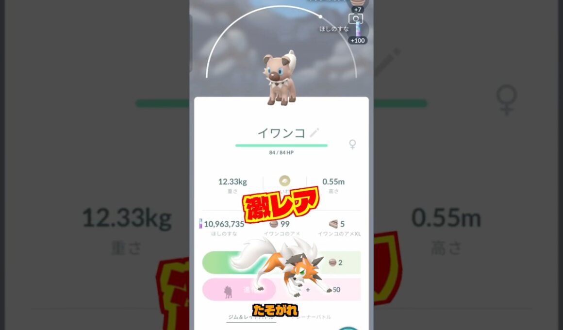 50体のイワンコと出会ったら、色違いのたそがれ出る？【ポケモンGO】