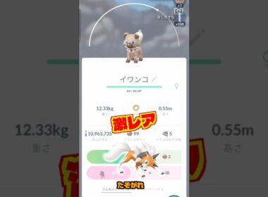 50体のイワンコと出会ったら、色違いのたそがれ出る？【ポケモンGO】