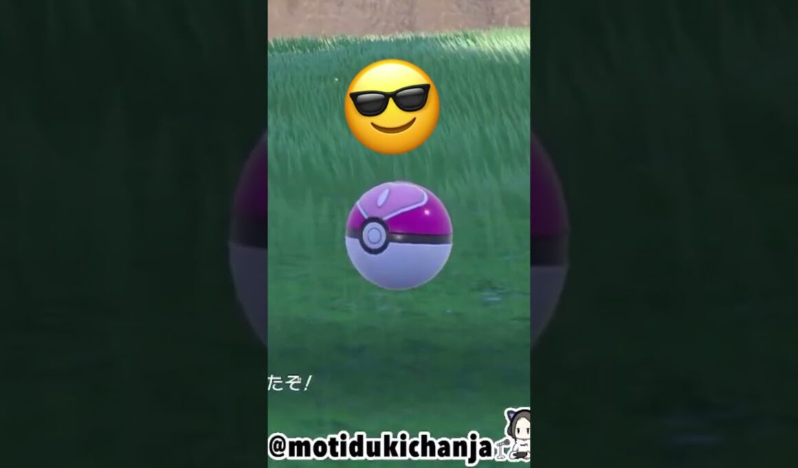 チルットの色証厳選 #ポケモンsv