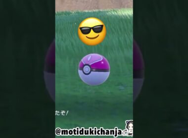 チルットの色証厳選 #ポケモンsv