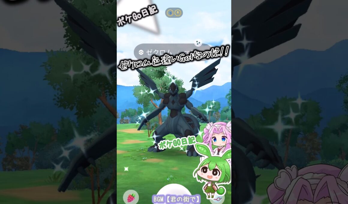 【ポケGO日記】ゼクロム 色違いゲットなのだ！ #shorts #ポケモンgo #ゼクロム #レイド #色違い