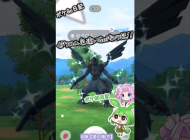 【ポケGO日記】ゼクロム 色違いゲットなのだ！ #shorts #ポケモンgo #ゼクロム #レイド #色違い