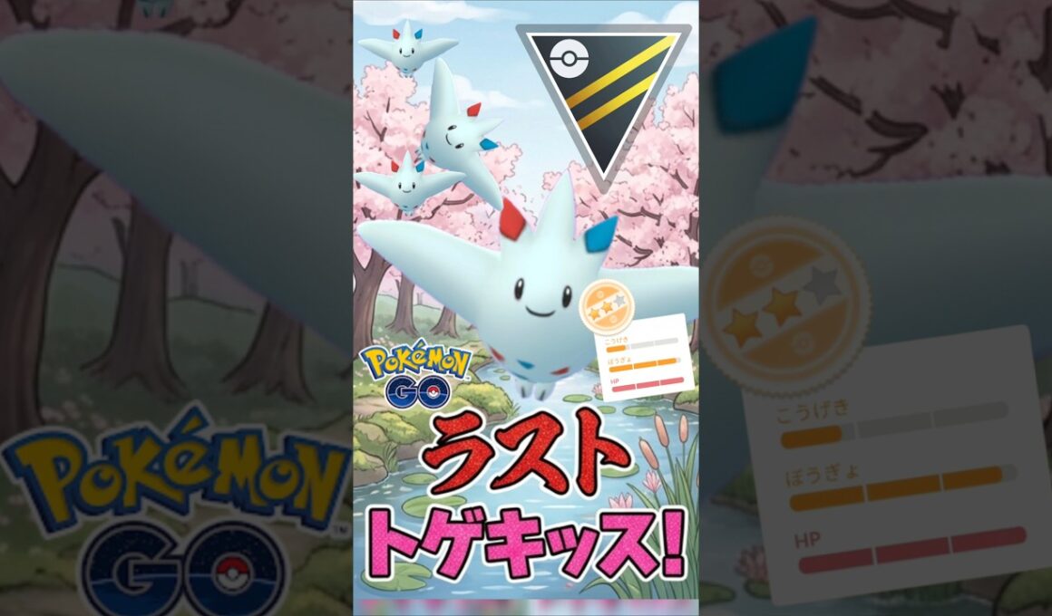 ラストは「はんぺんトゲキッス」!!【ハイパーリーグ】【ポケモンGO】【GOバトルリーグ】