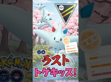 ラストは「はんぺんトゲキッス」!!【ハイパーリーグ】【ポケモンGO】【GOバトルリーグ】