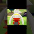 駆け寄ってくるラビフット　#Shorts