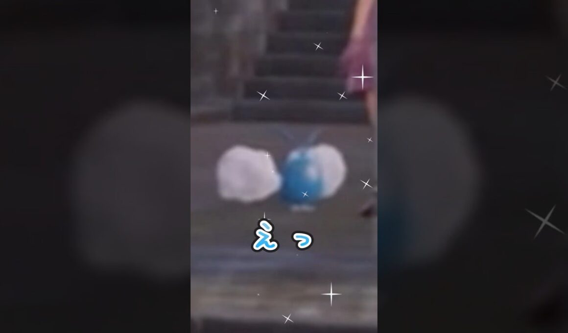 チルットがほしい【ポケモンZA】