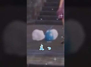 チルットがほしい【ポケモンZA】