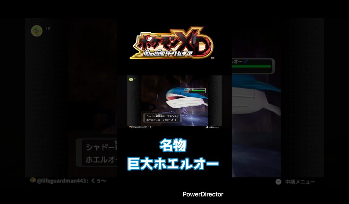 巨大ホエルオーと巨大マルマイン【ポケモンXD闇の旋風ダーク・ルギア】