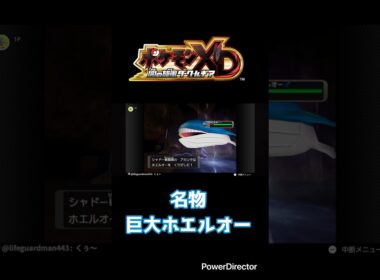 巨大ホエルオーと巨大マルマイン【ポケモンXD闇の旋風ダーク・ルギア】