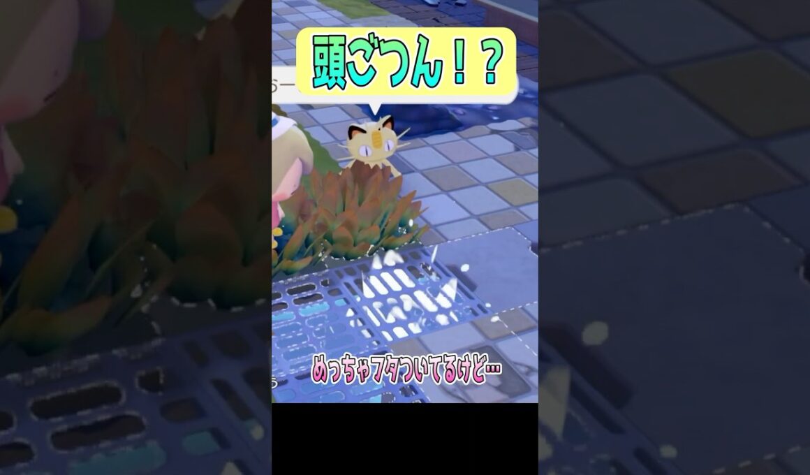 【ぽこあポケモン】ポッチャマ初登場シーン！！ #shorts #ぽこあポケモン #ポッチャマ