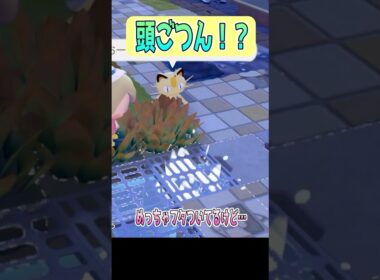 【ぽこあポケモン】ポッチャマ初登場シーン！！ #shorts #ぽこあポケモン #ポッチャマ