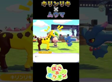 【ぽこあポケモン】一枚上手なキリンリキ 【ポケモン】