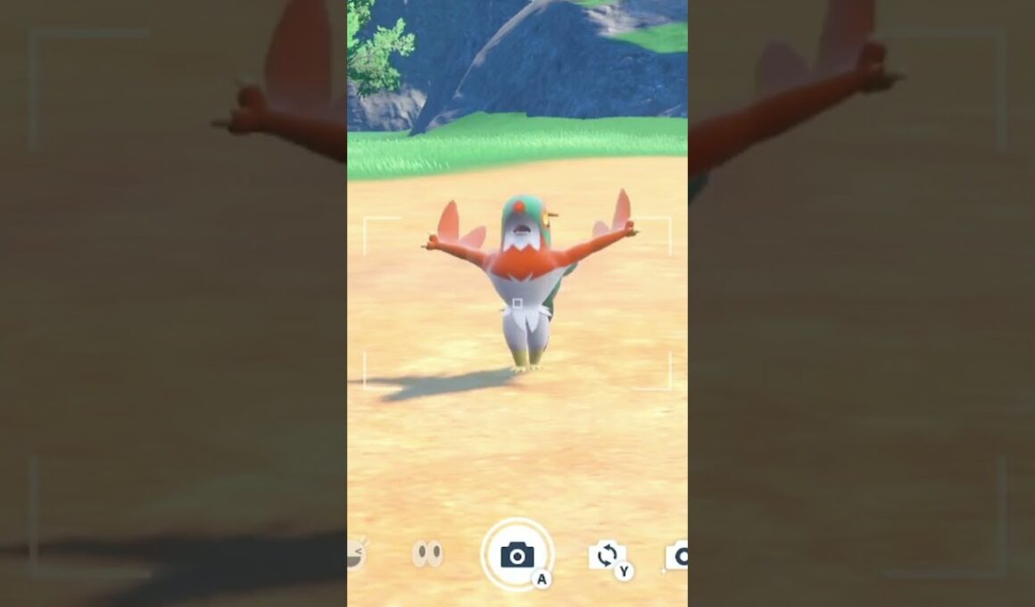 ルチャブルを愛でるかい #ポケモン #ルチャブル