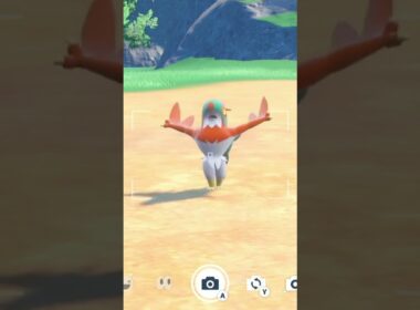 ルチャブルを愛でるかい #ポケモン #ルチャブル