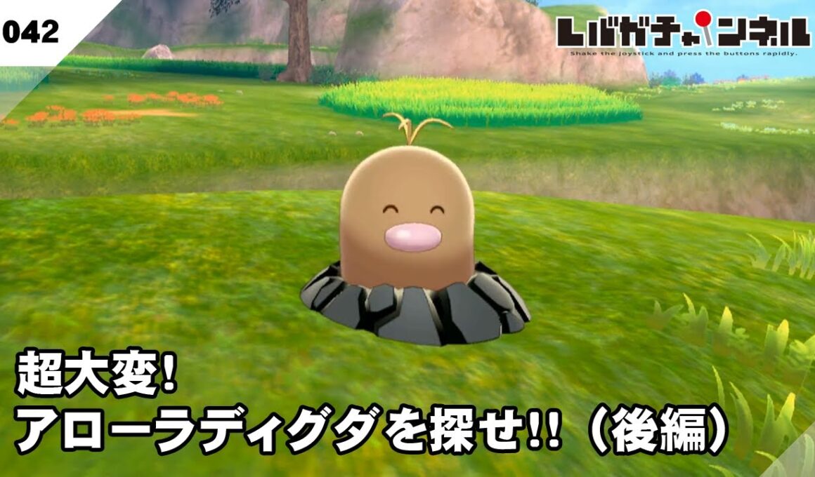 【ポケモン剣・鎧】超大変！アローラディグダを探せ！！（後編）【#041】