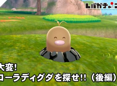 【ポケモン剣・鎧】超大変！アローラディグダを探せ！！（後編）【#041】