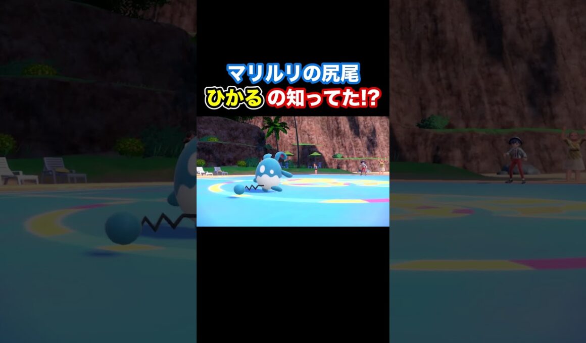 【ポケモンSV】マリルリの尻尾ひかるの知ってた！？  #shorts