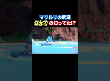【ポケモンSV】マリルリの尻尾ひかるの知ってた！？  #shorts