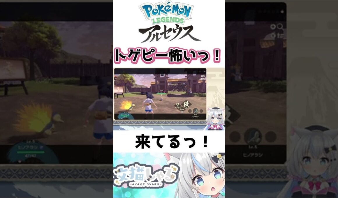 【ポケモンレジェンズ】トゲピー怖いっ‼【アルセウス】 #新人Vtuber #Shorts