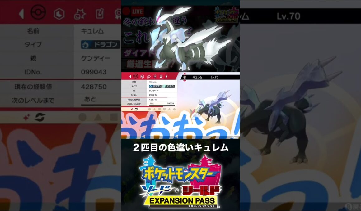 ２匹目の色違いキュレムと邂逅した男【ポケモン剣盾】