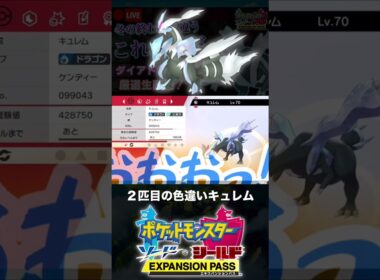 ２匹目の色違いキュレムと邂逅した男【ポケモン剣盾】