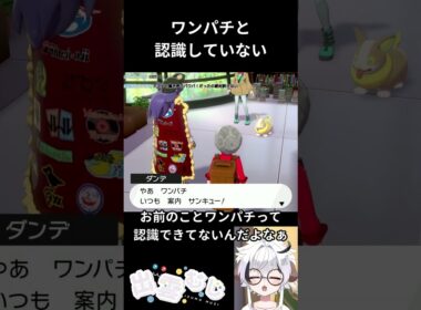 【ポケモン剣盾】ワンパチと認識していない #ポケモン剣盾