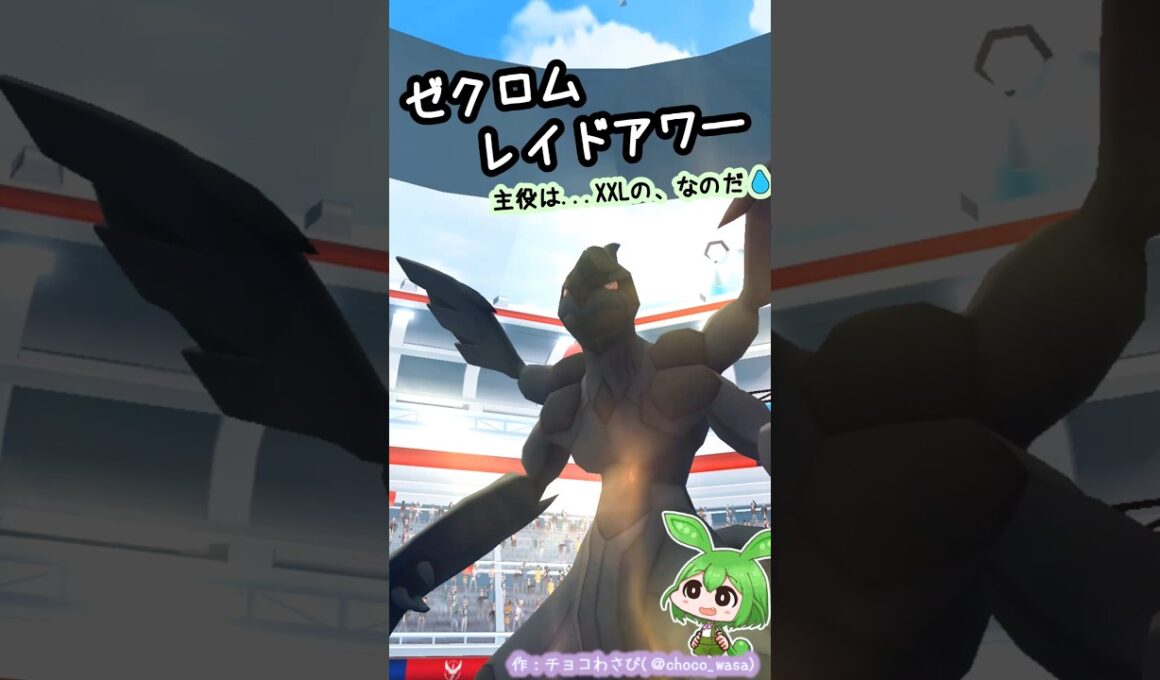【ポケGO】ゼクロムレイドアワー！...で、大きいドドゼルガ？なのだ💧