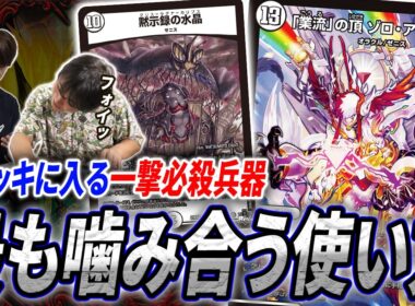 どんなデッキにも入る滅茶苦茶なフィニッシャー《「業流」の頂 ゾロ・ア・スタート》の相性が最も良いデッキとは？【デュエマ/対戦】