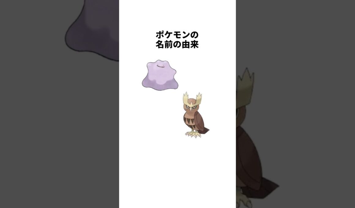 ポケモンの名前の由来 メタモン ヨルノズク